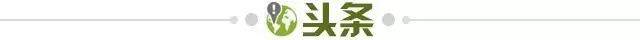 开云下载-【早报】女足2-8荷兰！3战丢17球！全网怒喷贾秀全...